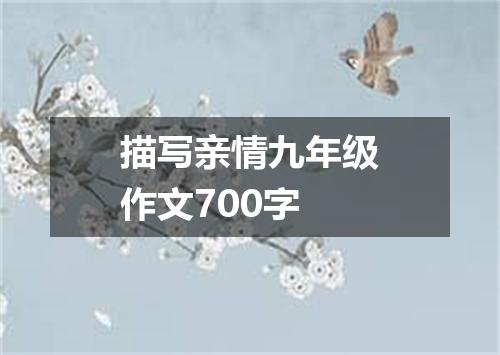 描写亲情九年级作文700字