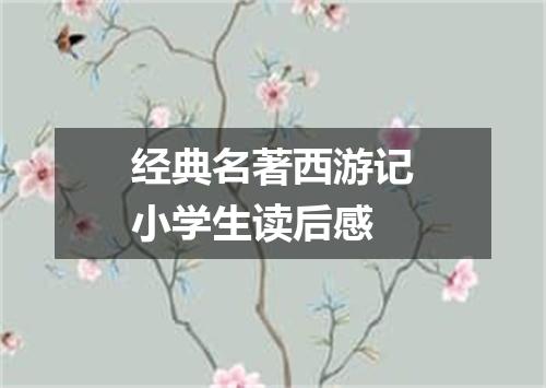 经典名著西游记小学生读后感