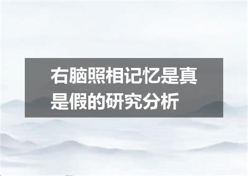 右脑照相记忆是真是假的研究分析