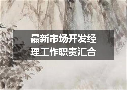 最新市场开发经理工作职责汇合