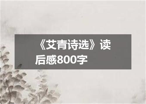 《艾青诗选》读后感800字