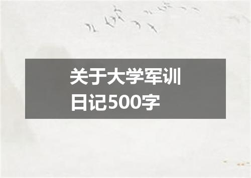 关于大学军训日记500字