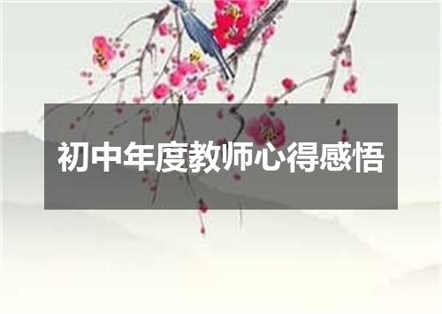 初中年度教师心得感悟