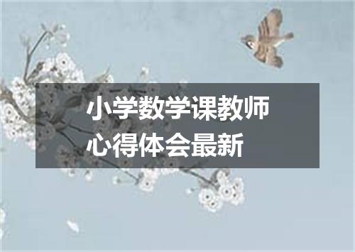 小学数学课教师心得体会最新