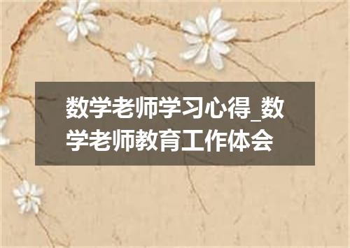 数学老师学习心得_数学老师教育工作体会