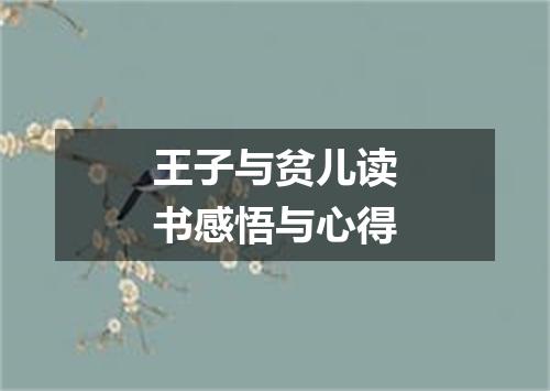 王子与贫儿读书感悟与心得