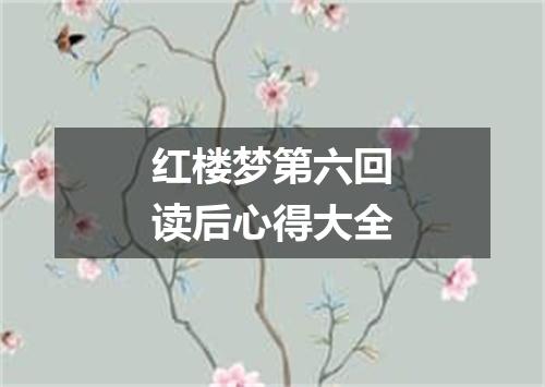 红楼梦第六回读后心得大全