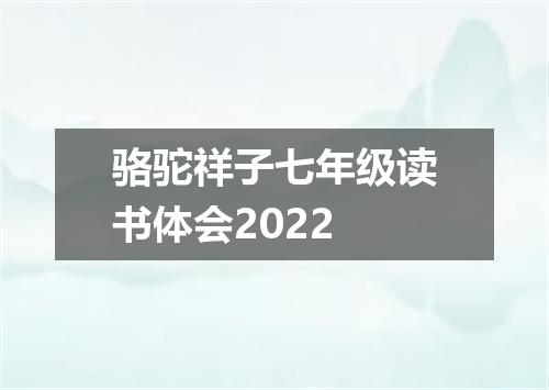 骆驼祥子七年级读书体会2022