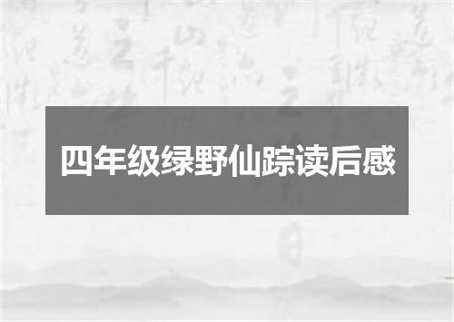 四年级绿野仙踪读后感