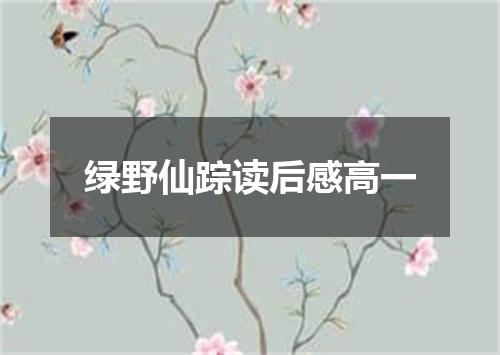 绿野仙踪读后感高一