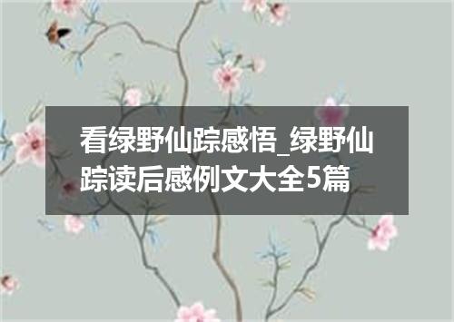 看绿野仙踪感悟_绿野仙踪读后感例文大全5篇