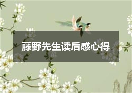 藤野先生读后感心得