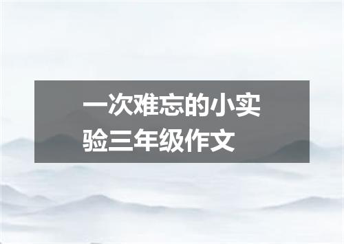 一次难忘的小实验三年级作文
