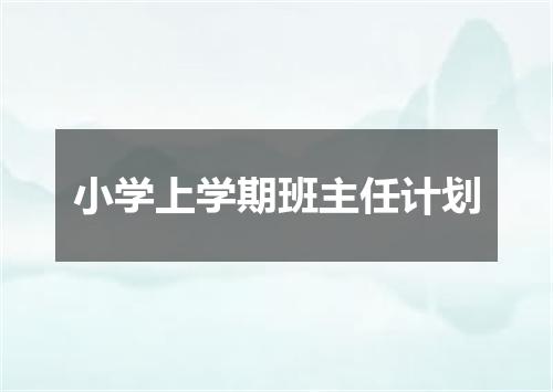 小学上学期班主任计划