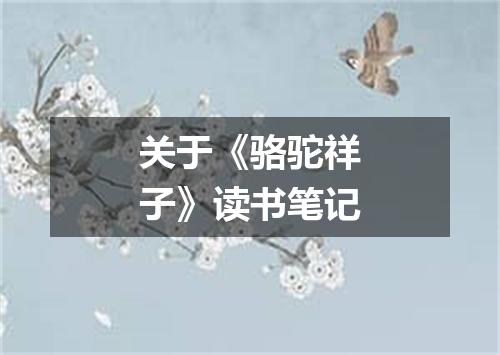 关于《骆驼祥子》读书笔记