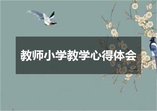 教师小学教学心得体会