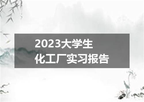 2023大学生化工厂实习报告