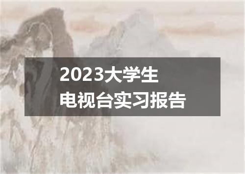 2023大学生电视台实习报告