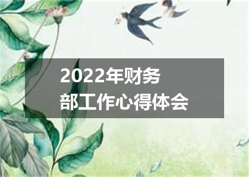 2022年财务部工作心得体会