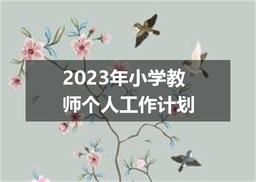 2023年小学教师个人工作计划