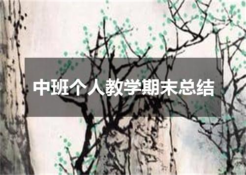 中班个人教学期末总结