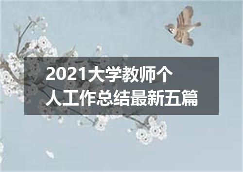 2021大学教师个人工作总结最新五篇