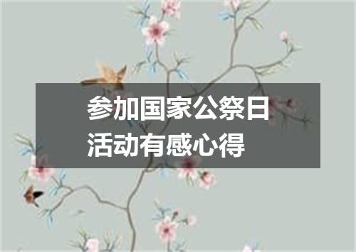 参加国家公祭日活动有感心得