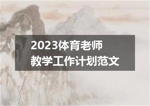 2023体育老师教学工作计划范文