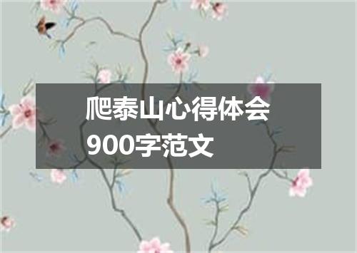 爬泰山心得体会900字范文