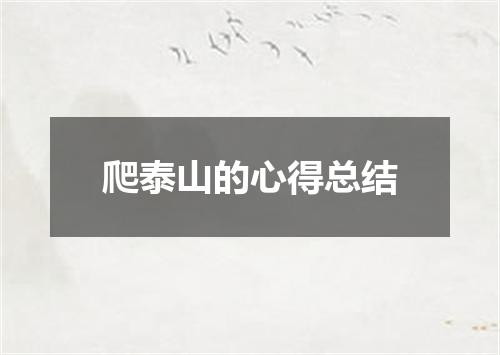 爬泰山的心得总结