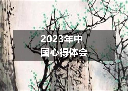 2023年中国心得体会