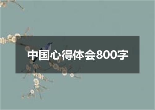 中国心得体会800字