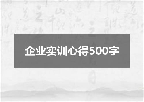 企业实训心得500字