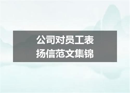 公司对员工表扬信范文集锦