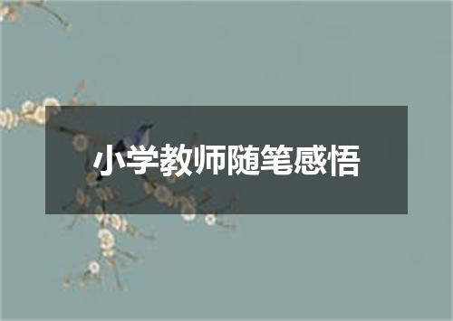小学教师随笔感悟