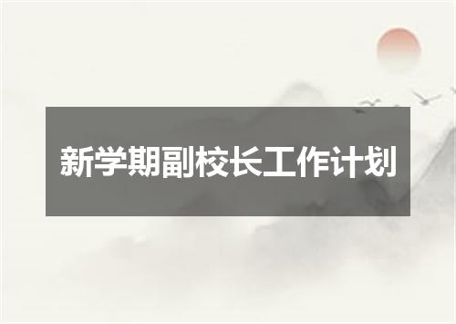 新学期副校长工作计划