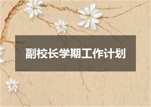 副校长学期工作计划