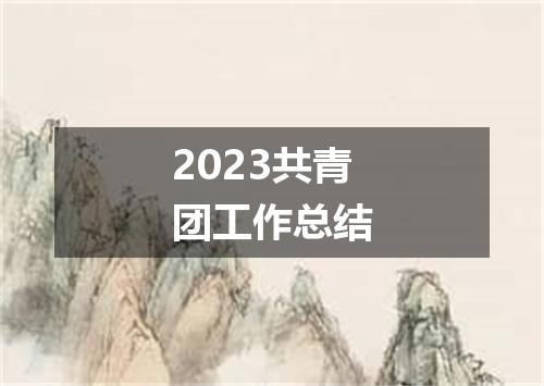 2023共青团工作总结