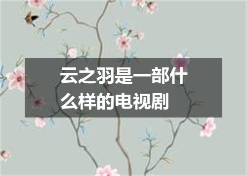 云之羽是一部什么样的电视剧