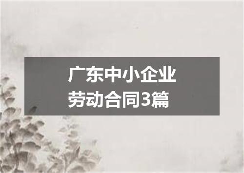 广东中小企业劳动合同3篇
