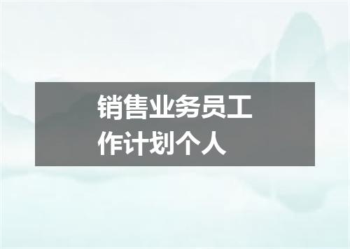 销售业务员工作计划个人