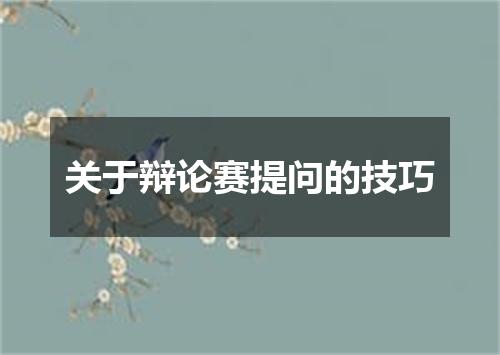 关于辩论赛提问的技巧