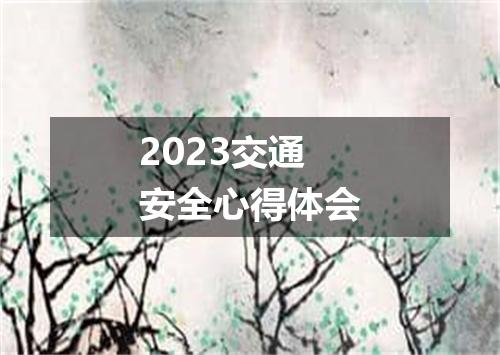 2023交通安全心得体会