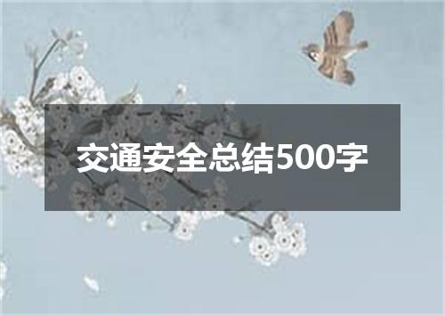 交通安全总结500字