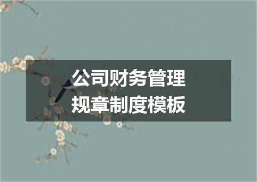 公司财务管理规章制度模板