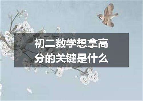 初二数学想拿高分的关键是什么