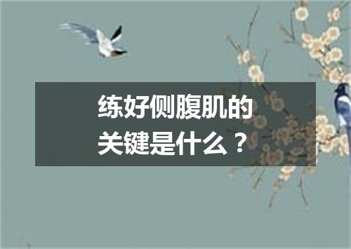 练好侧腹肌的关键是什么？