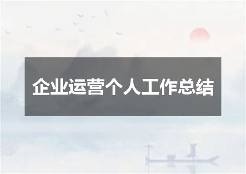 企业运营个人工作总结