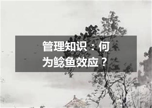 管理知识：何为鲶鱼效应？