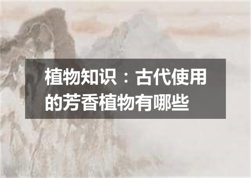植物知识:古代使用的芳香植物有哪些